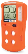 Gas Meters