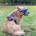 K9R - M1 LightSpeed Harness - view 5