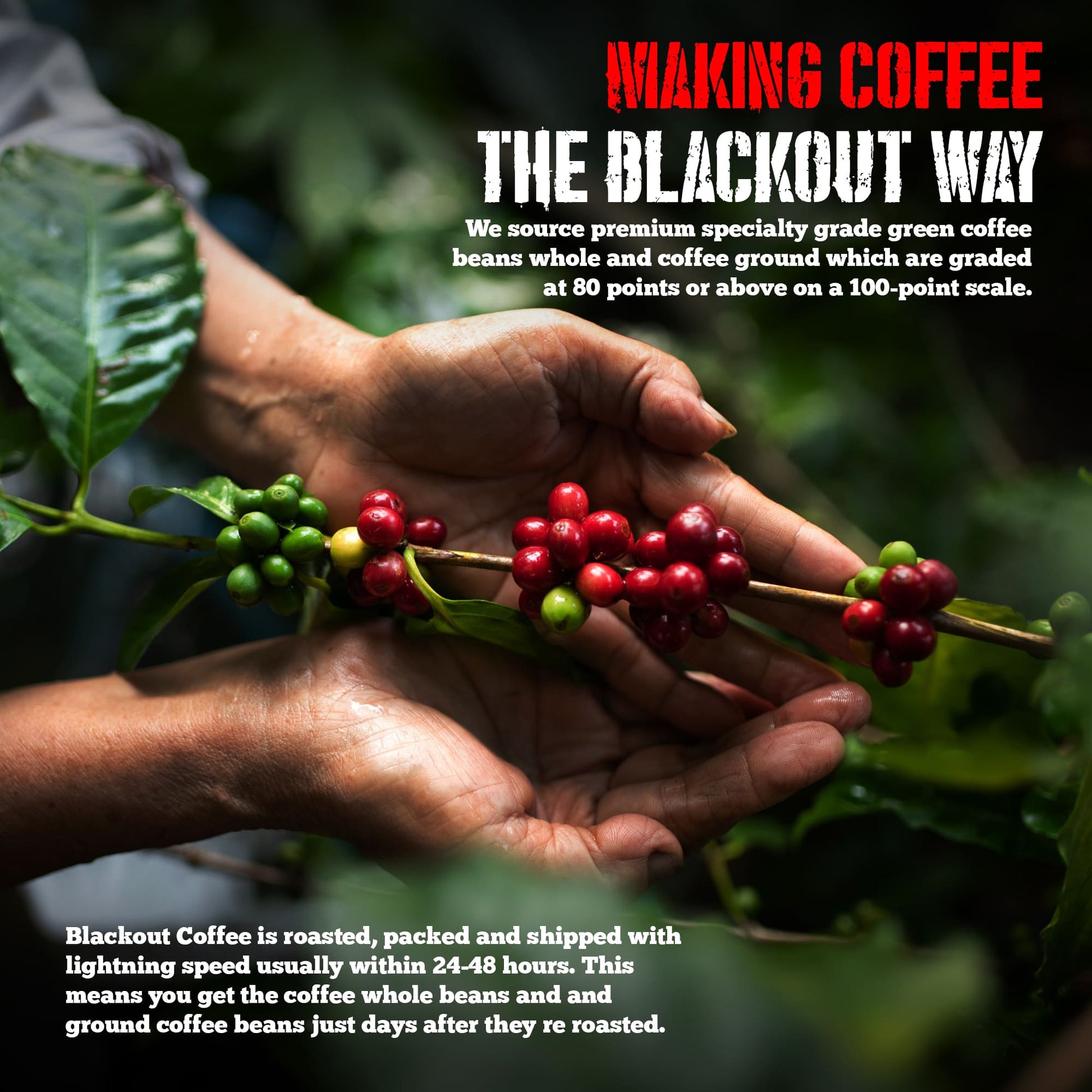 Blueberry Crumble Flavored Coffee Pods by Blackout Coffee Co, 18ct pack ideal for a rich and flavorful coffee experience.