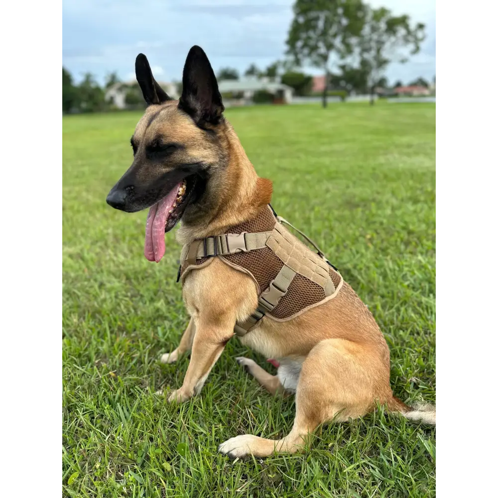 Chief Miller K-9 Artemis Dog Harness Apparel