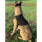 Chief Miller K-9 Artemis Dog Harness Apparel