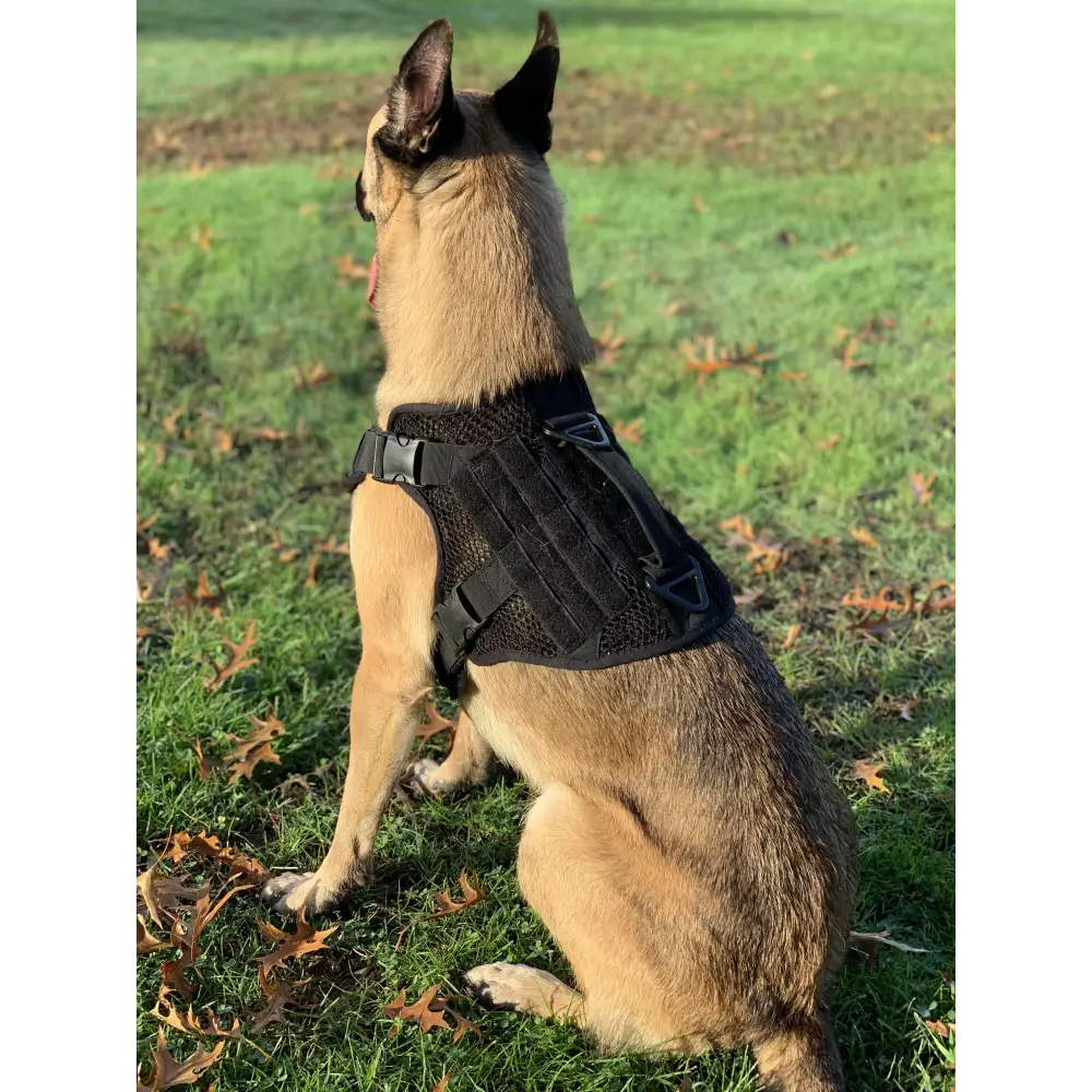 Chief Miller K-9 Artemis Dog Harness Apparel