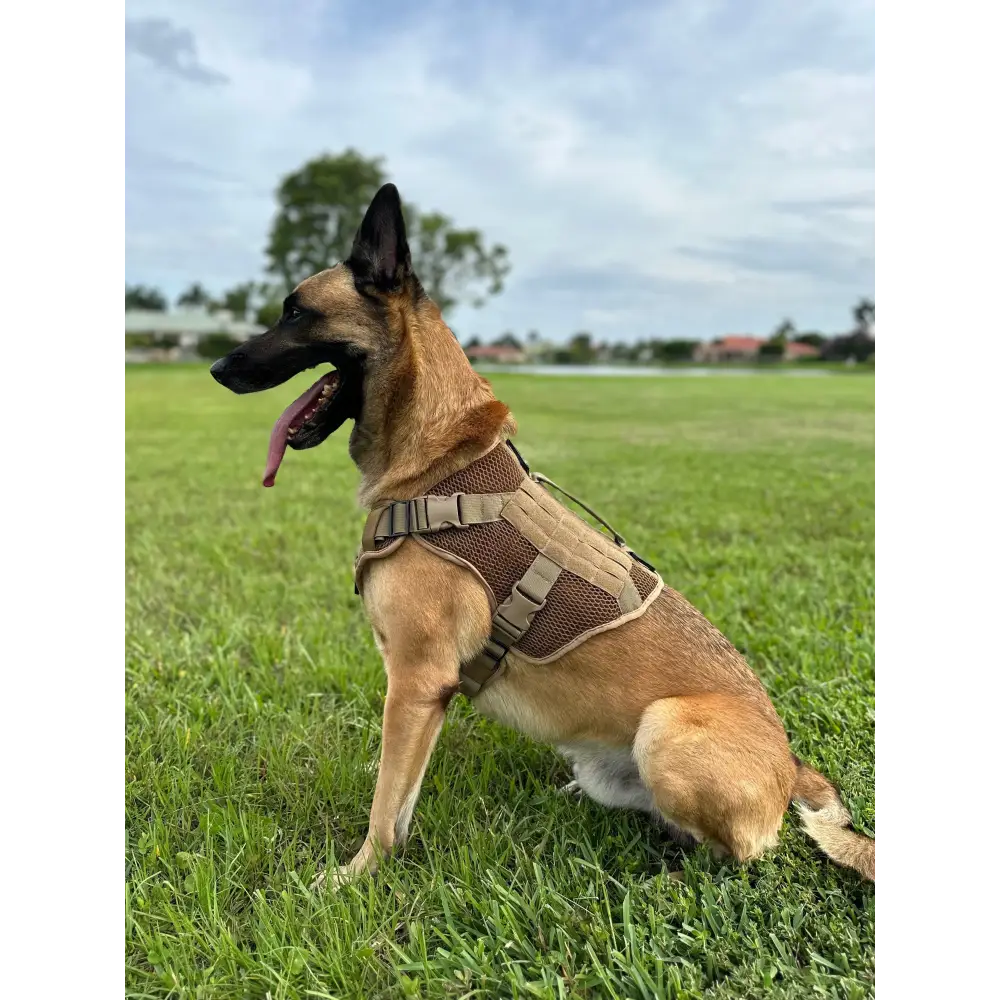 Chief Miller K-9 Artemis Dog Harness Apparel