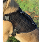 Chief Miller K-9 Artemis Dog Harness Apparel