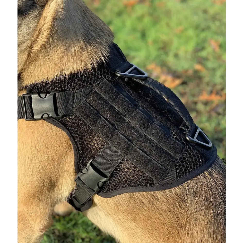 Chief Miller K-9 Artemis Dog Harness Apparel