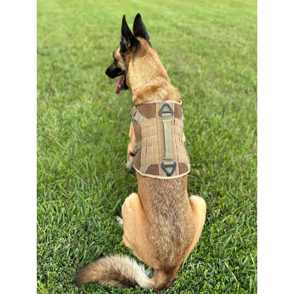 Chief Miller K-9 Artemis Dog Harness Apparel