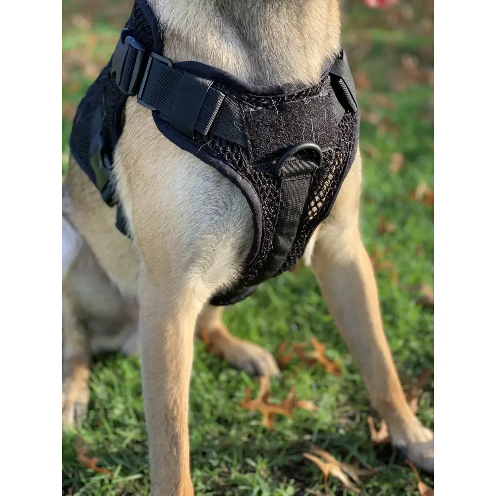 Chief Miller K-9 Artemis Dog Harness Apparel