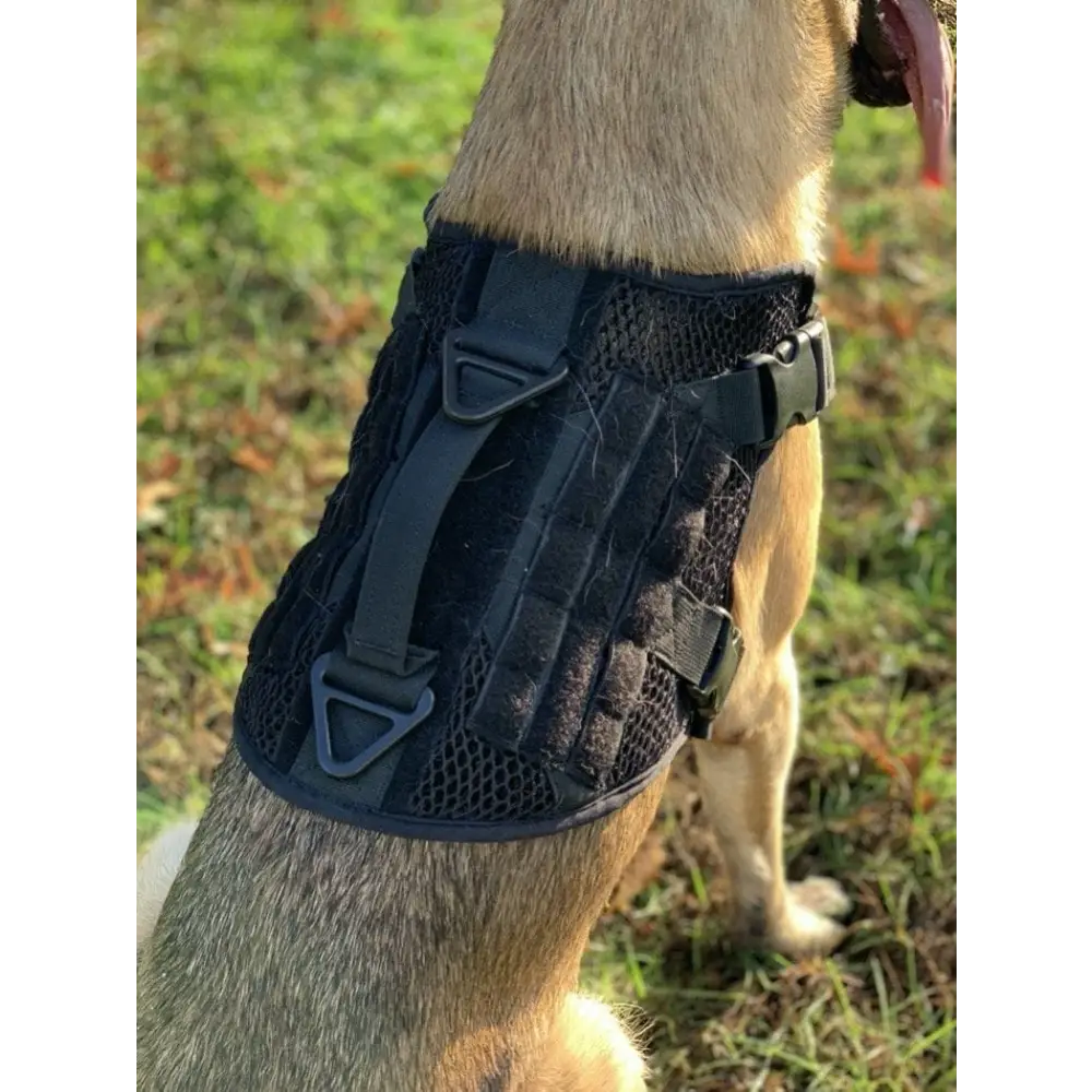 Chief Miller K-9 Artemis Dog Harness Apparel