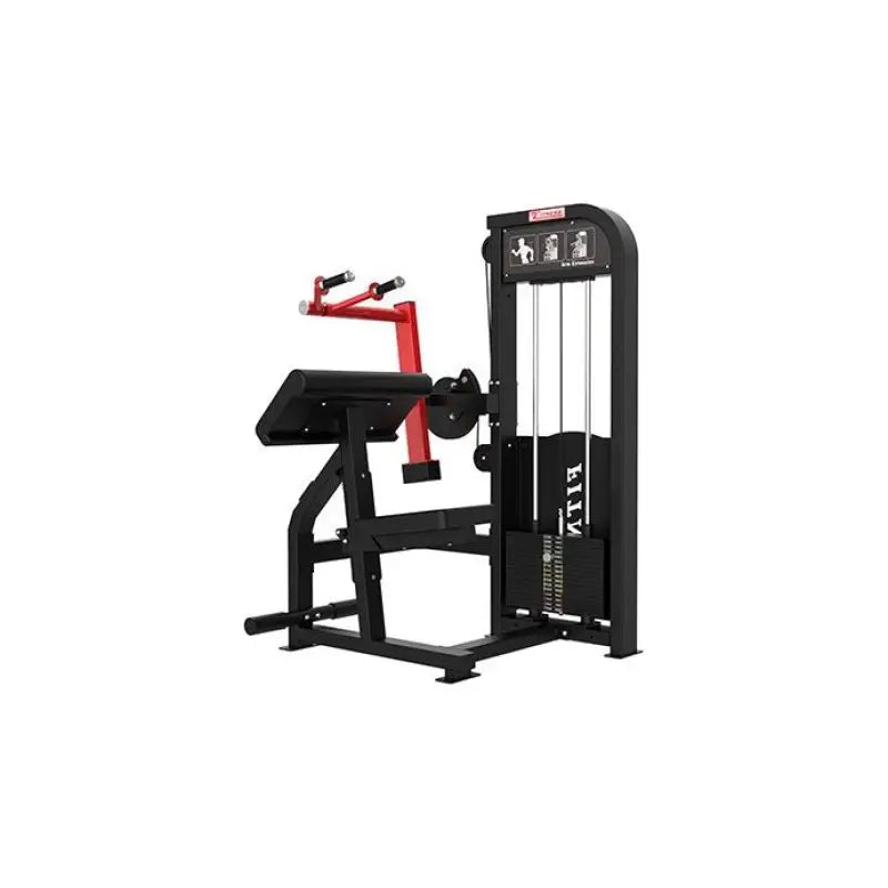 Black and red weight machine for SFE Commercial Tricep Extension with weight stack