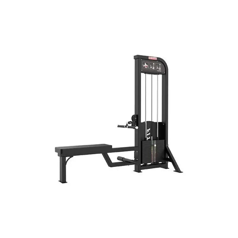 SFE Commercial Selectorized Low Row Machine featuring a black seated cable row design