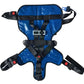 Blue medical transfer harness for Line2Design Deluxe Pedi child restraint seat system