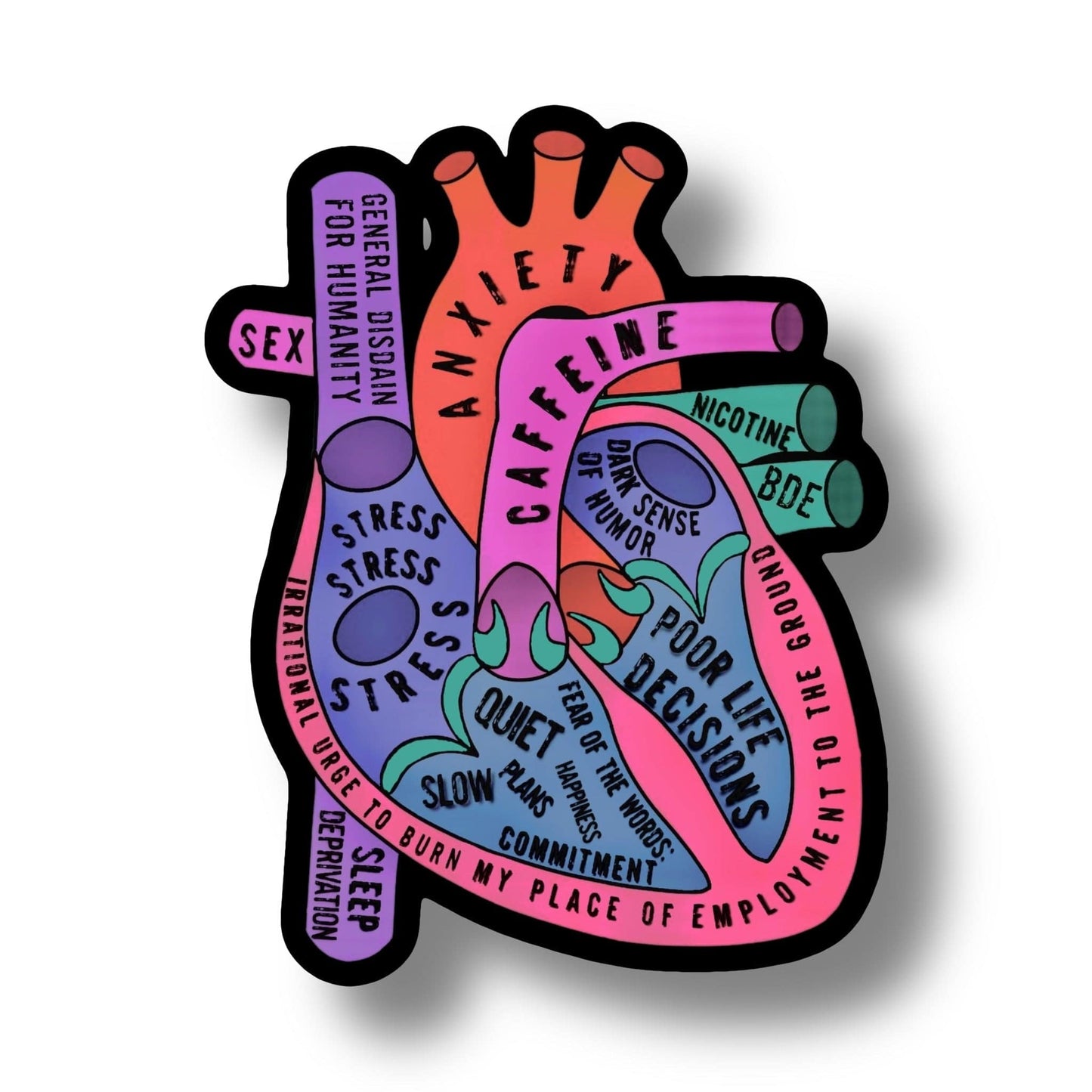 Chief Miller Healthcare Worker Heart Anatomy Sticker Apparel