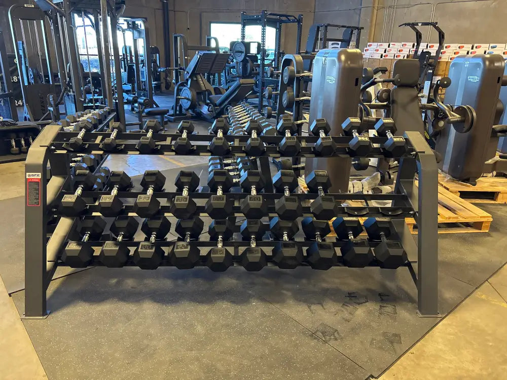 SFE Commercial Dumbbell Rack with rectangle tube design holding hexagonal weights