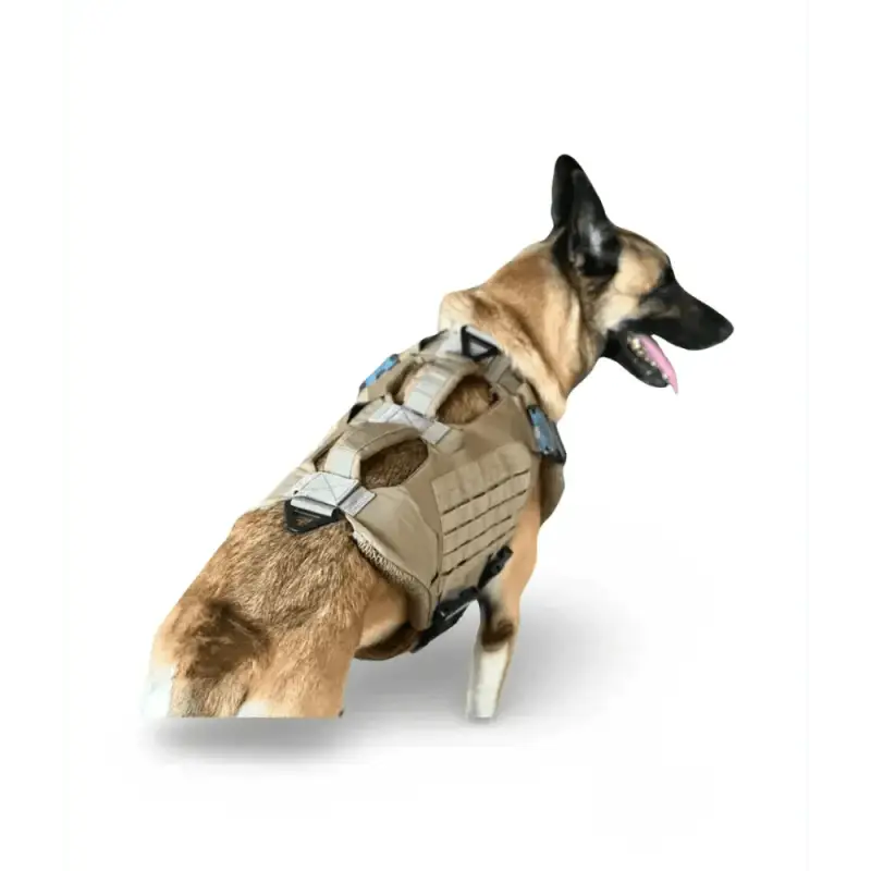 German Shepherd in Titan K-9 Ballistic Body Armor Vest 3.0 - Level IIIA Dual Threat