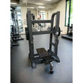 SFE Commercial Vertical Plate Loaded Leg Press with bench and weight machine features