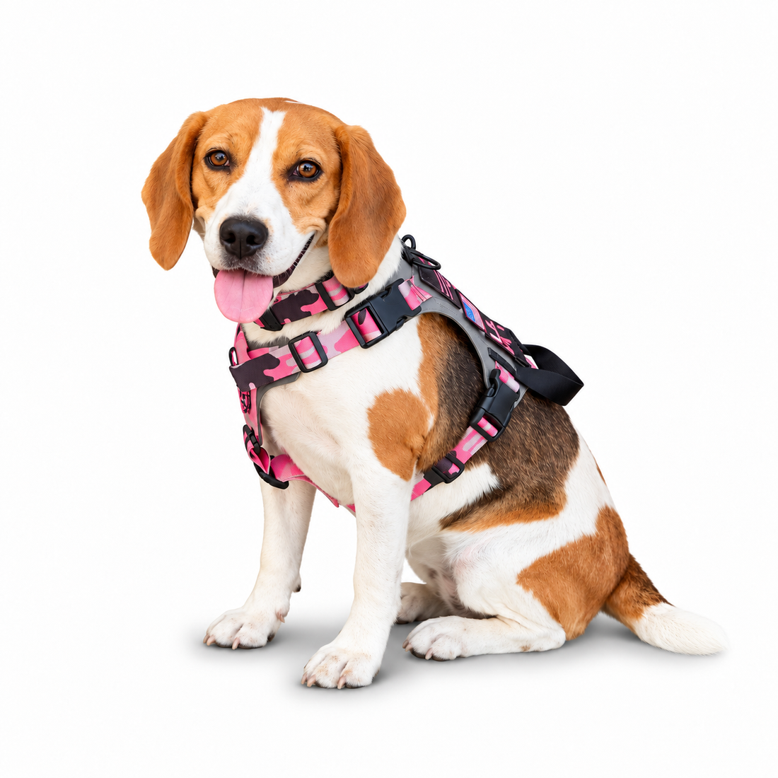 K9R - M1 LightSpeed Harness