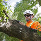 Man in safety gear using Rescue Hard Hat with ratchet suspension to cut tree branch