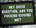 Olive drab 2x3 patch with strong text saying Hey Question Are You Fucking Kidding Me