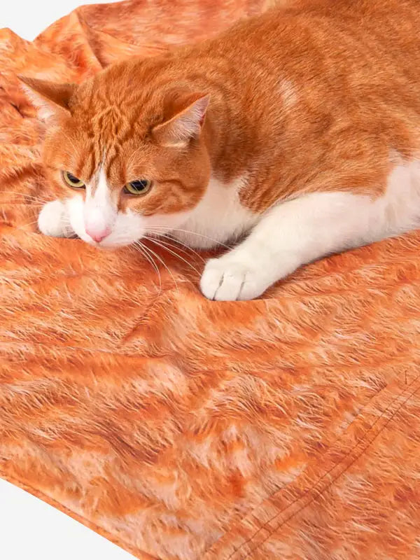 Orange and white cat on furry blanket showcasing animal prints veterinary scrub design