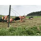 Participants crawling under barbed wire wearing Women’s Performance Racerback Tank in Black