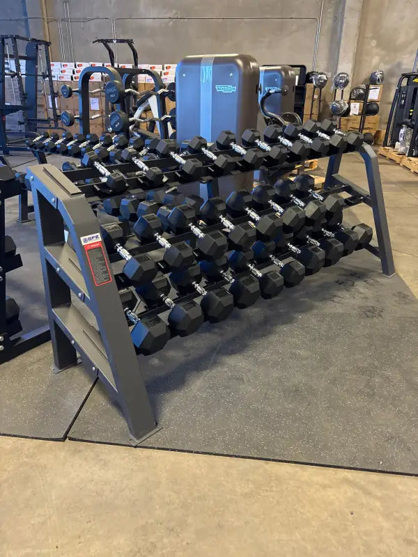 SFE Commercial Dumbbell Rack with rectangle tube design holding hexagonal weights