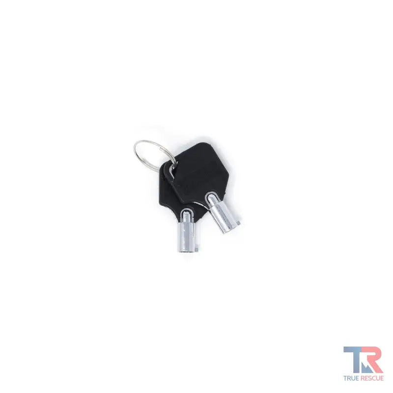 Two silver spare keys for alarmed cabinets with black plastic heads on a key ring